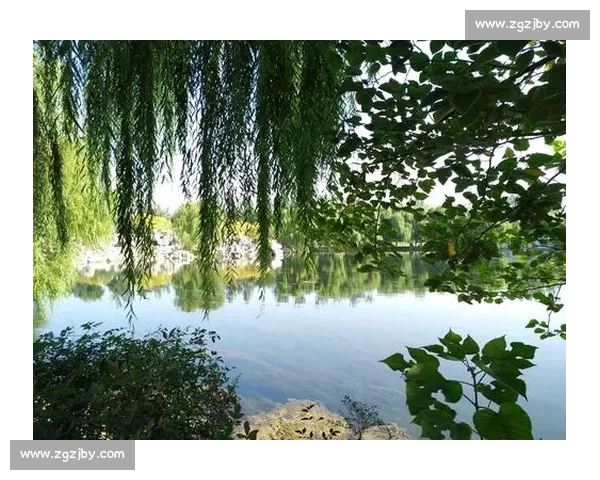 罗森对决大海的极限挑战揭示人与自然的力量碰撞境界思考与生存意义