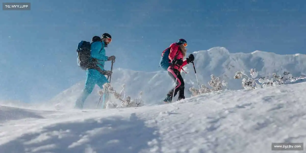 为什么选择我们